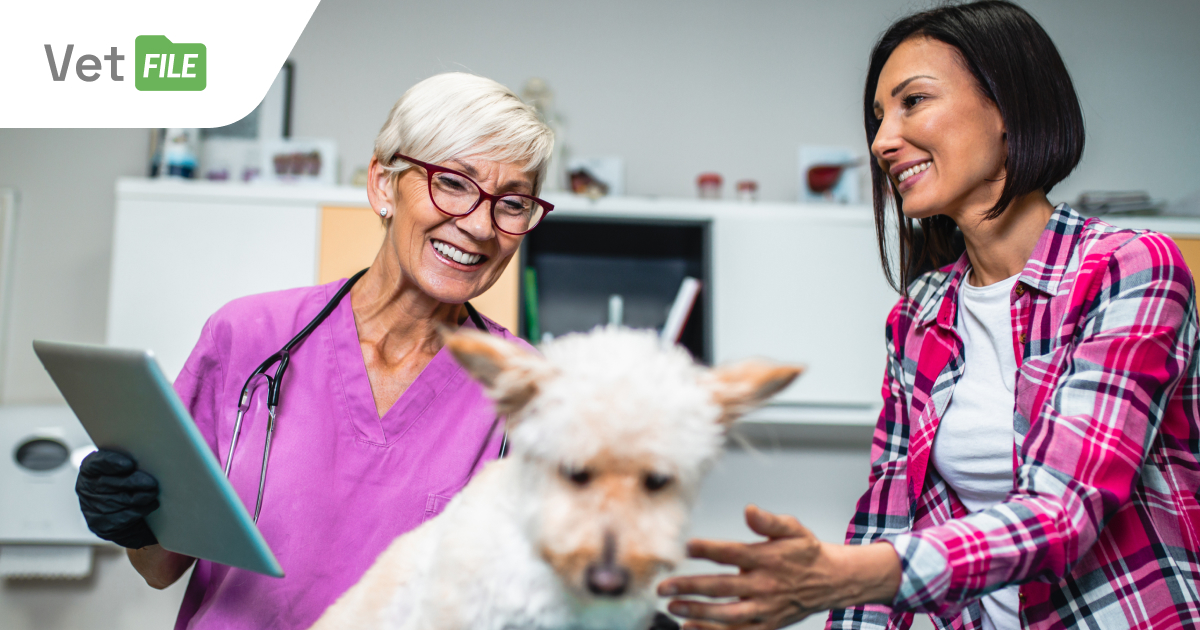 Strong relationships with pet owners? Here's what works in everyday veterinary practice