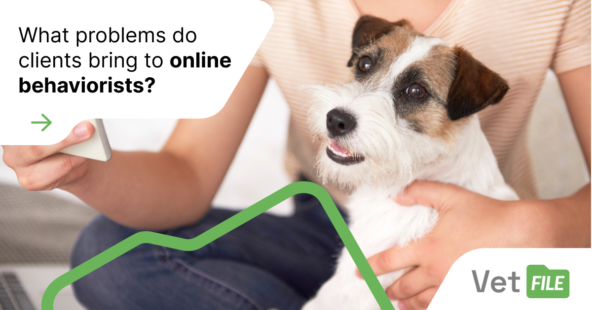 What problems do clients bring to an online behaviorist?