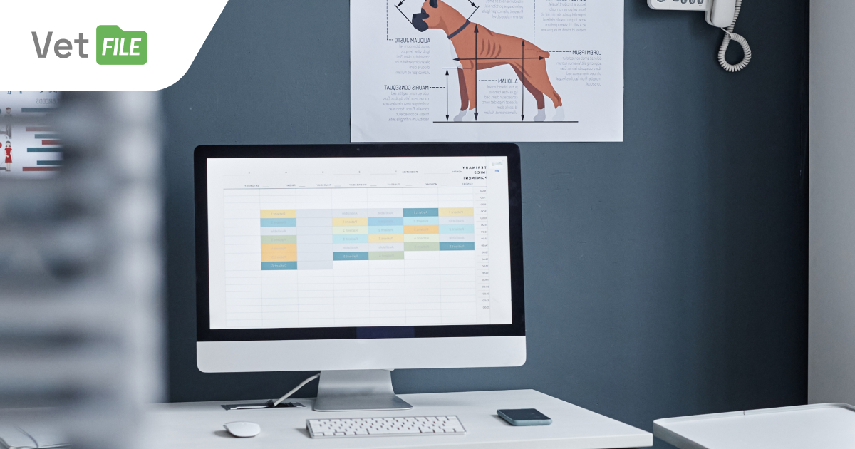 What amenities does VetFile offer? A list of software advantages